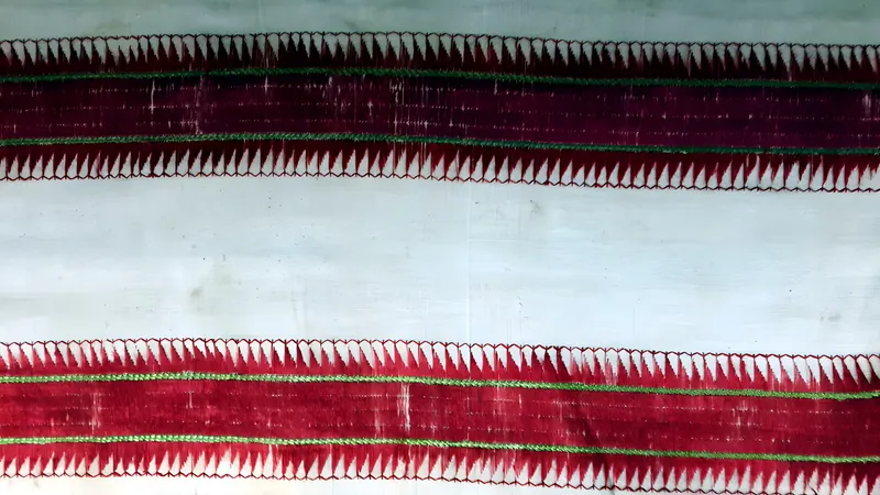 Phulkari border