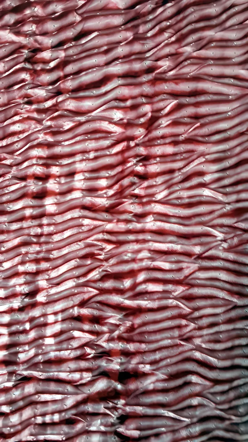 Scarves